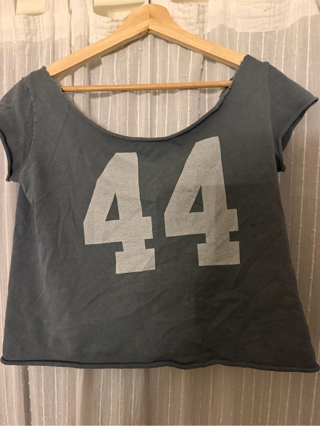 Brandy Melville Gray Scoop Neck Crop Top With White '44' Graphic